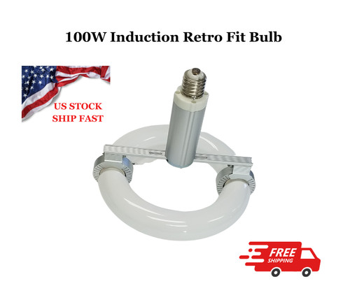 100w induction retro fit bulb - induction,